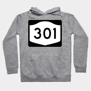 Rte 301 Putnam County New York Hoodie